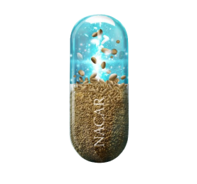 nacar-amazonian-ancestral-energy-white-scaled-removebg-preview nacar-amazonian-ancestral-energy-white-scaled-removebg-preview